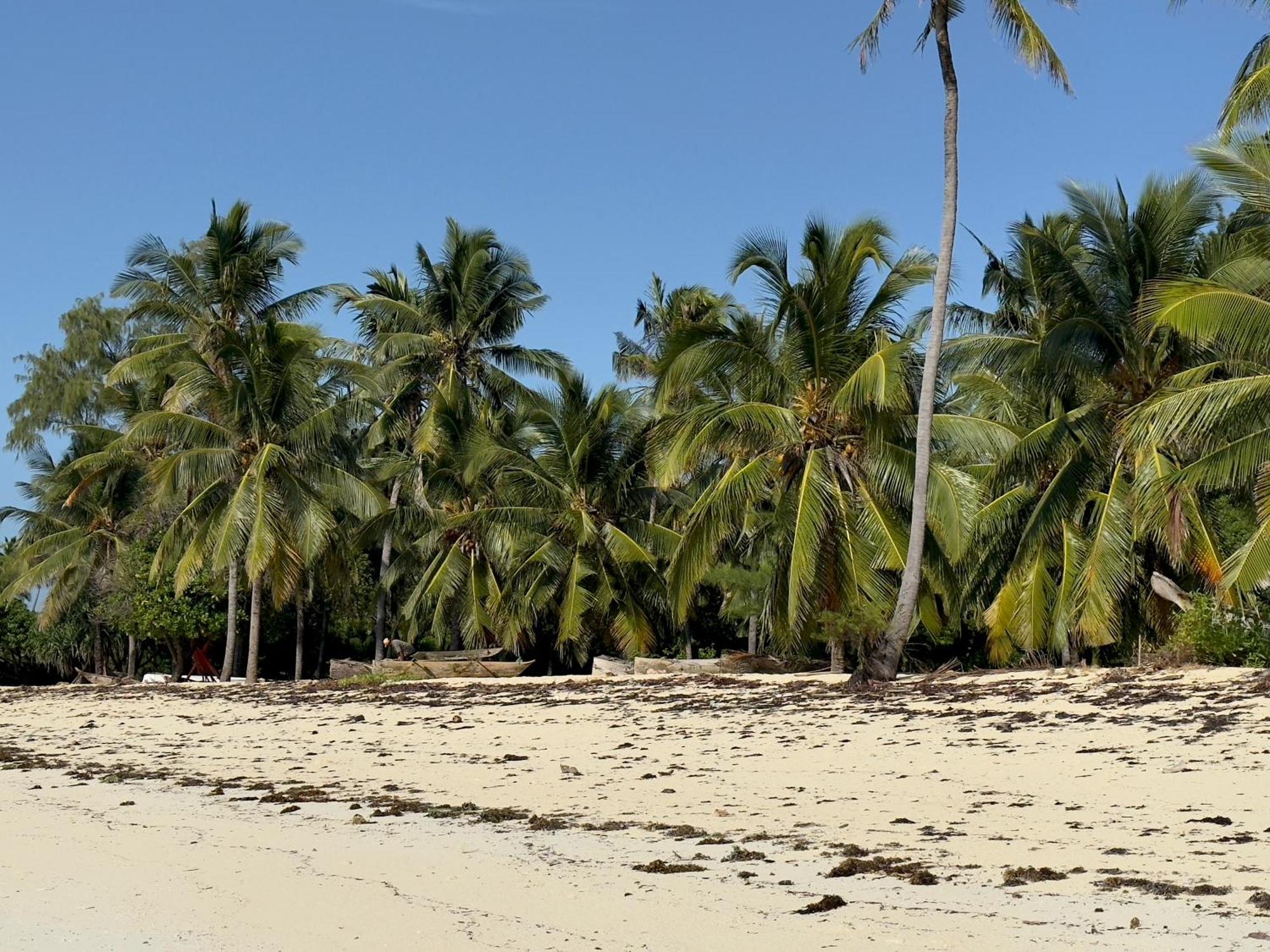 Juana Ocean Villas Makunduchi Extérieur photo